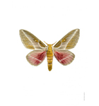 Groot formaat poster