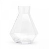 Puik design rare carafe