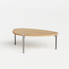 Tiptoe low table 120 cm pebble RVS stainless steel leg 43 cm