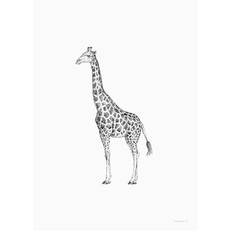 inkylines tekening giraffe A5