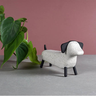 Korridor Design Concrete animals white spotted dog