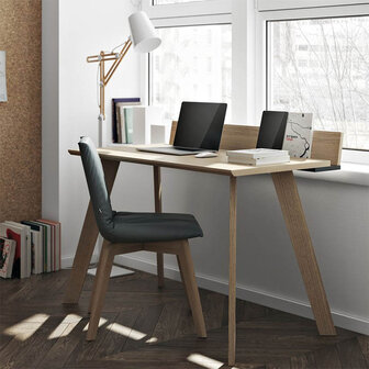 Temahome Loft Desk