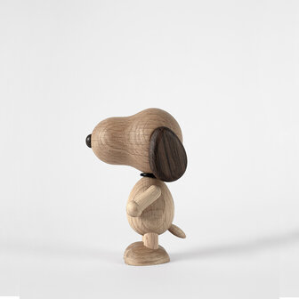 Boyhood x Peanuts Snoopy  small