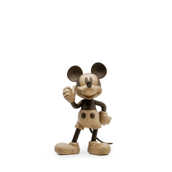 Boyhood X Mickey Mouse
