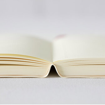 Midori MD Notebook Diary 2026 A6 (Monthly block + 1 day 1 page)