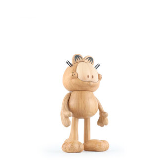Boyhood Garfield