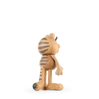 Boyhood Garfield