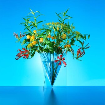 Delta Vaas - Mart van Schijndel