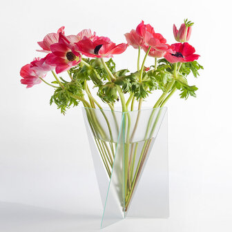 Delta Vaas - Mart van Schijndel