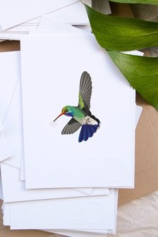 a5 kolibrie roosmarijn