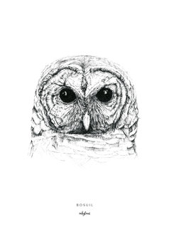 Inkylines Print Tawny Owl 