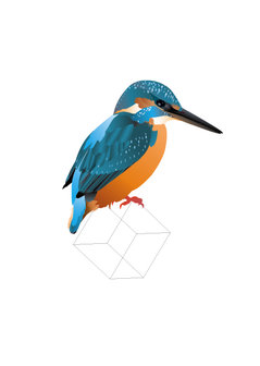 Roosmarijn Knijnenburg Kingfisher A5 card