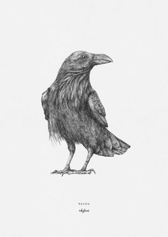Inkylines print raven