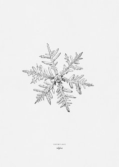 Inkylines Print Snowflake