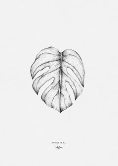 Inkylines A5 Print Monstera leaf 