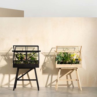 design house stockholm greenhouse ash