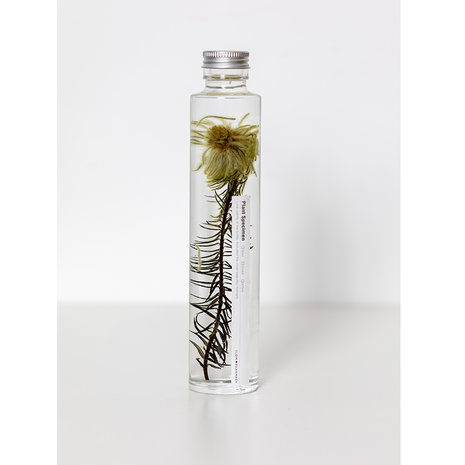 Slow Pharmacy plant specimen large 002