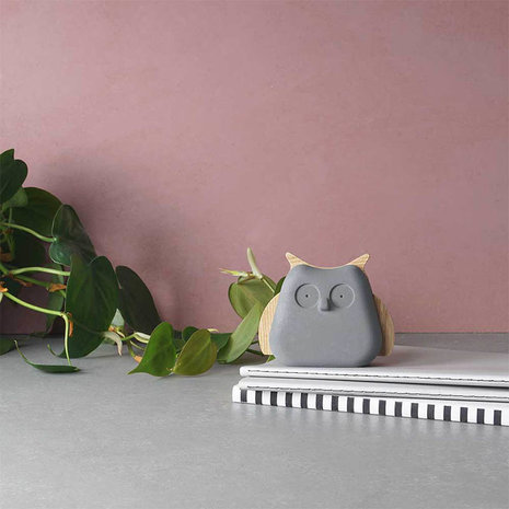 Korridor design concrete animals owl small