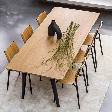 Tiptoe new modern dining table