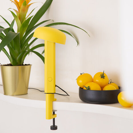 Tiptoe NOD lamp clam yellow