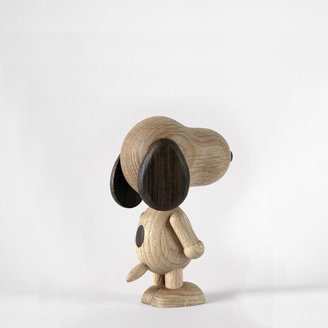 Boyhood x Peanuts Snoopy  small