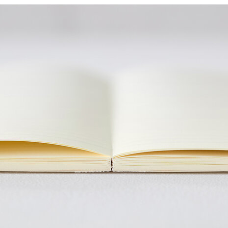 Midori MD Notebook Diary 2026 A6 (Monthly block + memo)