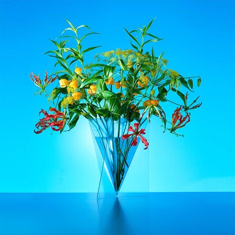 Delta Vaas - Mart van Schijndel