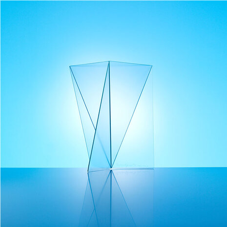 Delta Vaas - Mart van Schijndel