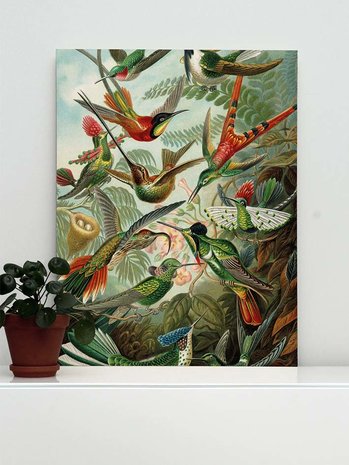 KEK amsterdam wood print exotic birds