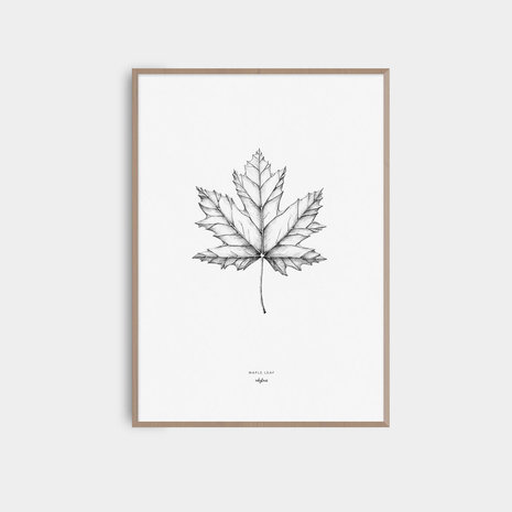 Inkylines maple leaf A5