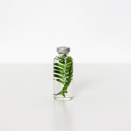 Slow Pharmacy plant specimen small  011 Slow Pharmacy plant specimen small  011