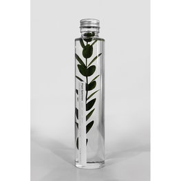 Slow Pharmacy plant specimen large 016 Slow Pharmacy plant specimen large 016