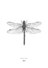 Inkylines Print Dragonfly Inkylines Print Dragonfly