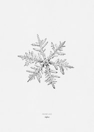 Inkylines Print Sneeuwvlok