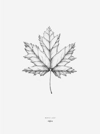 Inkylines print Esdoornblad