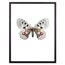 Liljebergs zwart houten fotolijst A4 Liljebergs zwart houten fotolijst A4